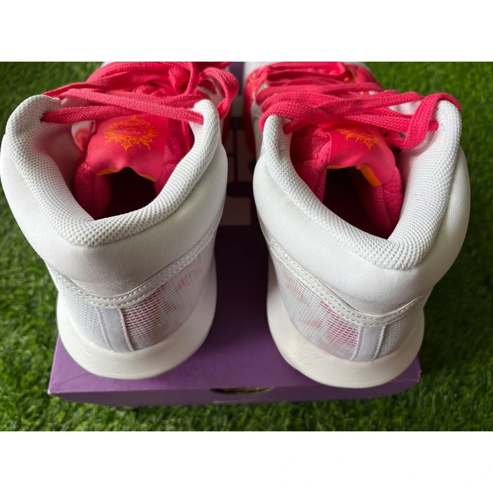 Nike lebron witness